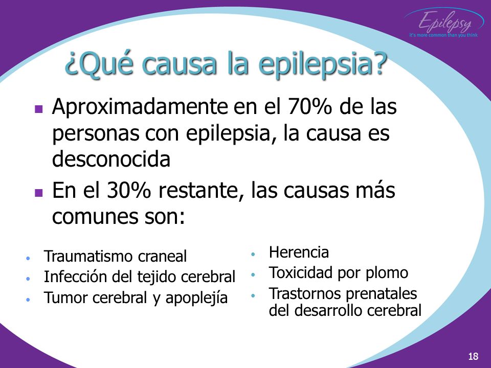 La película con pitom la mujer el espía